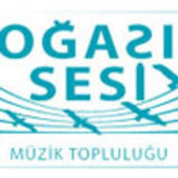 bogazinsesi