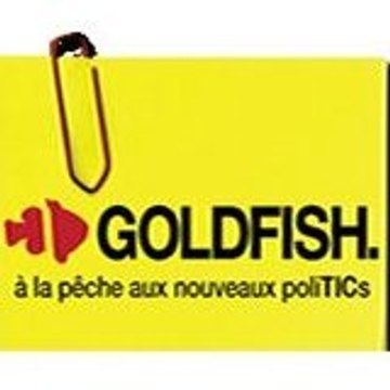 Blog Goldfish