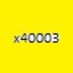 x40003