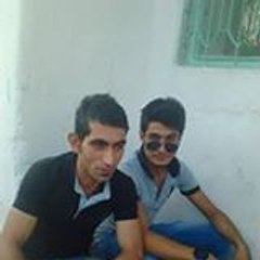 excelans44