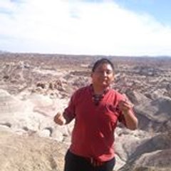 elc_sar