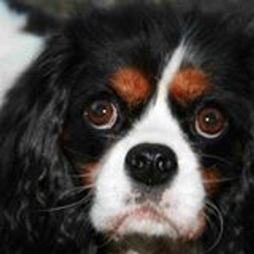 Cécile cissou.merlet