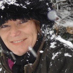 Sylvie rollero sylvie