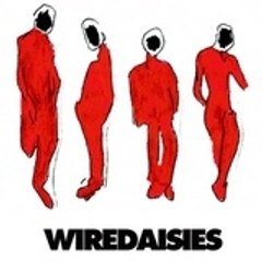 Wire Daisies