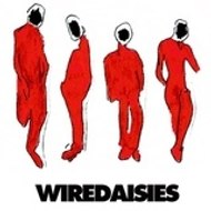 Wire Daisies