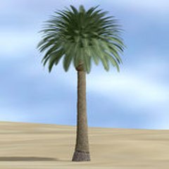 ghadir khum