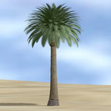 ghadir khum