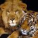 FREINDS