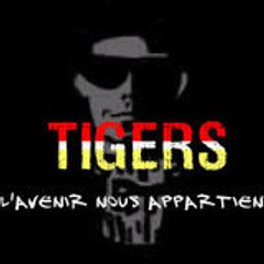 tigers94
