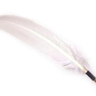 PoC'6v Tu connais ou pas ?