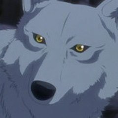 Wolf's rain