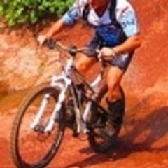 francis seguy