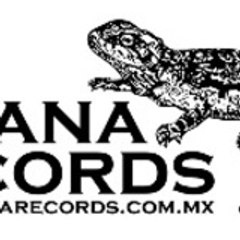 Iguana_Records
