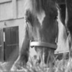 Maathilde-Equiit