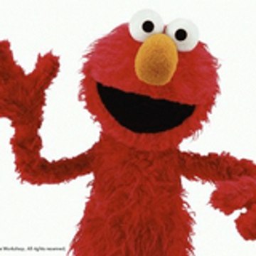 chienchilla chienchilla