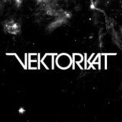 VEKTORKAT