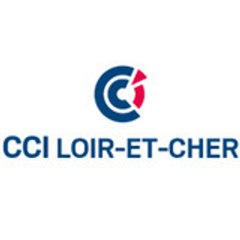 cci41