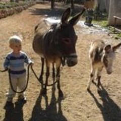 Centre Equestre De Nans Les Pins