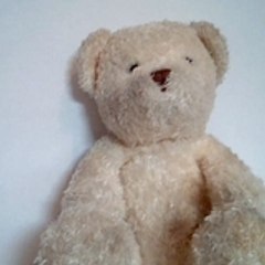 nounours ourson