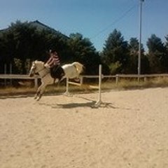 Mouchou15