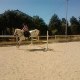 Mouchou15