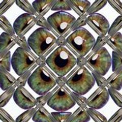 zephyru1