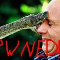 Snakebite2468
