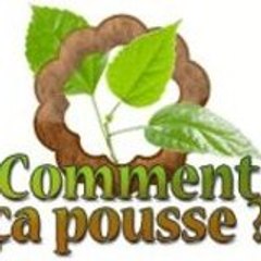 Comment ça pousse