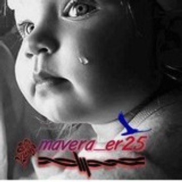 mavera_er25