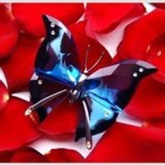 carmenn76