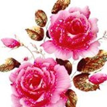 marie-christine trouet