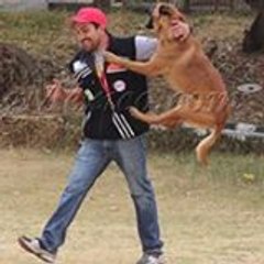 Darshanhr