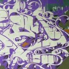 wild  styler