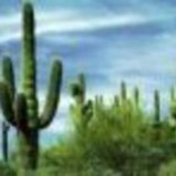 navajo1