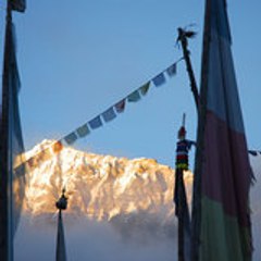 gyaljenfinasa