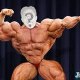 Salih81