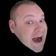 Secret Diary of a Fall Guy