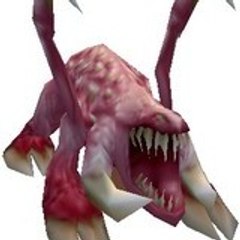 zaza zaza