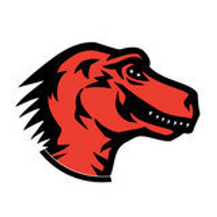 Dailymotion profile picture for @mozilla