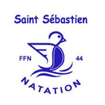 pingouin-de-st-seb