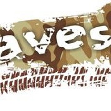 javier flores hauer