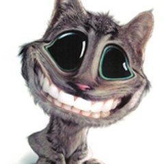 tompulgas2