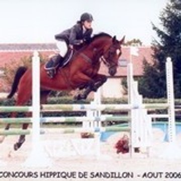 Sandrine sasa