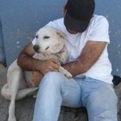 FIRAT SERT