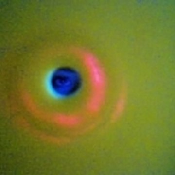 corif