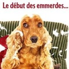Bambou le film