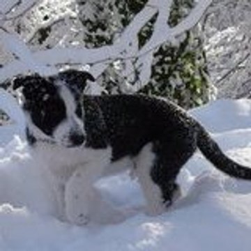 alexiatillyneverending