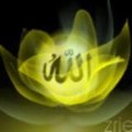 wa lilah el moulk