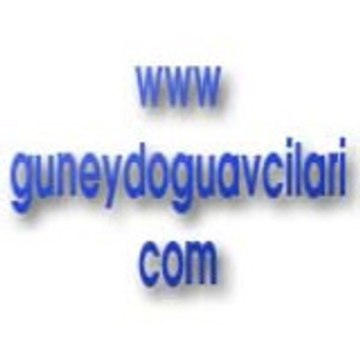 guneydoguavcilari