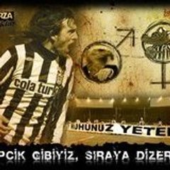 sinan527